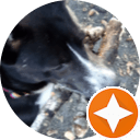 Jacek Zingler's review